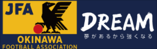 一般社団法人沖縄県サッカー協会